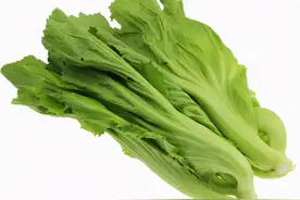 冬天的小炒饭：芥菜炒饭图片