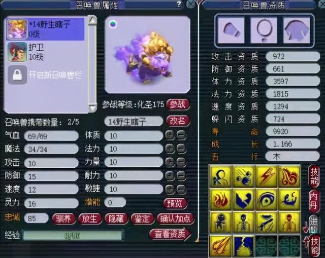 梦幻西游：徒有双眼却无法观照万象！全服首只14技能谛听悲惨现世