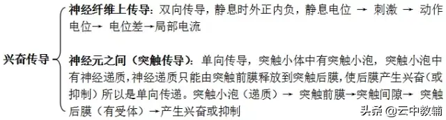 高中生物必修三知识点总结