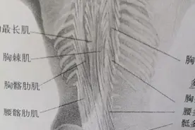身体侧弯左胁针刺样痛，肝俞、肾俞解决图片