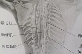 身体侧弯左胁针刺样痛，肝俞、肾俞解决图片