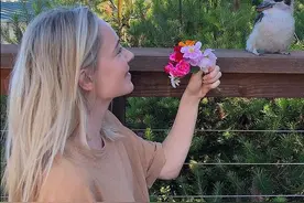 逃离城市喧嚣 澳大利亚女子拍鸟意外成“网红”图片