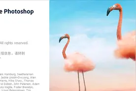 Photoshop（PS）2021软件下载及安装教程图片