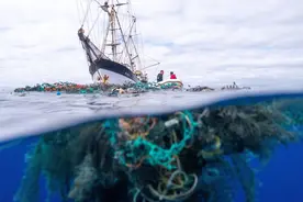 实拍美国附近海域 400万吨塑料垃圾组成旋涡 这是人类犯的错图片