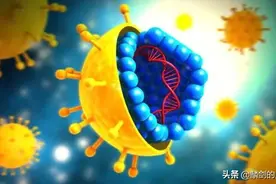 「地球生物全系列——从单细胞到人类」病毒界（上）图片