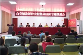 浚县白寺镇：壮大村集体经济 助农增收致富图片
