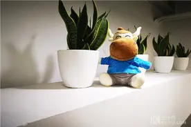 幼儿园会计涉及到的账务处理图片