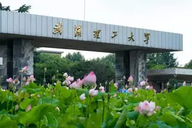 捡漏王，安徽一考生不到500分被武汉理工大学录取，仅超一本线7分图片