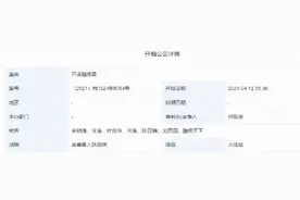YYDS创造者被捕：开设赌场获刑3年，涉案1800万！图片