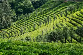 层次越高的人，越是有这四种修养，周围人会高看一眼，你有几种？图片