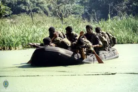 各国军衔标识：巴西图片