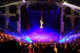 动物王国马戏团里面的铿锵玫瑰图片