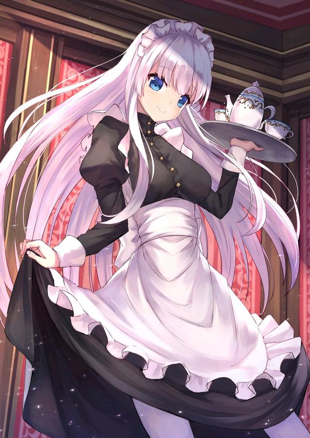 动漫女佣游戏攻略（干啥啥不会）