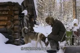 俄罗斯猎人的生活：一人一狗狩猎千亩森林，城市人根本羡慕不来图片
