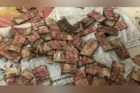 淮北一户村民将200万现金埋地下5年 挖出时霉到惊呆银行行长视频封面