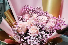 当了深圳房奴的第二年，深刻体会存钱和会挣钱的重要性图片