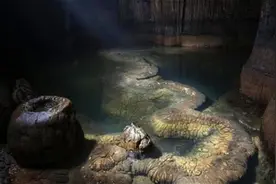 湖南一山洞发现“真龙”，当地人不敢靠近，专家：至少存在上亿年图片