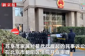 苏享茂姐姐谈起诉翟欣欣案：庭审顺利 苏享茂给她的我们都要要回来图片