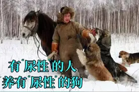 鄂伦春猎犬，中国北方的守山犬图片