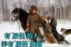 鄂伦春猎犬，中国北方的守山犬图片