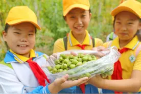 有地不用不觉得可惜？种上这懒人果树，结果多又省心图片