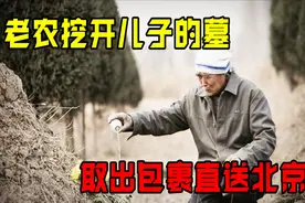 1951年老农挖开儿子墓，从中取出破旧木箱上交国家，隐藏什么秘密图片