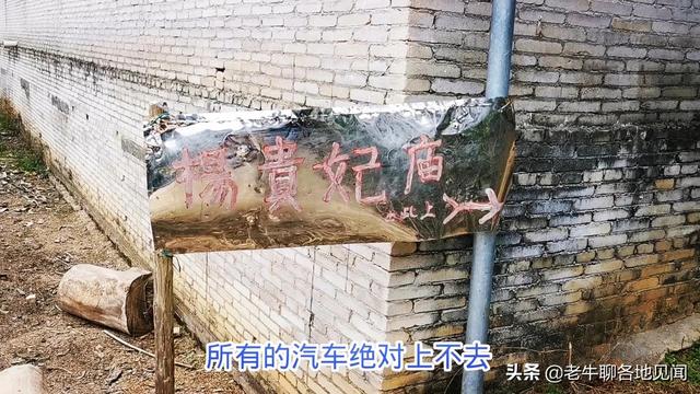 杨贵妃是不是广西容县人？山西陕西四川河南表示不服， 去探查