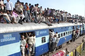 印度耗资9237万造高铁，扬言超越中国，刚试行两小时就撞上牛群图片