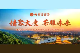 茶耀未来！2020七彩云南重点经销商大会在西安顺利召开图片