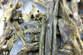 小伙投资五百万种300亩沉香，剥皮火攻半小时一毫升卖千元，啥样图片