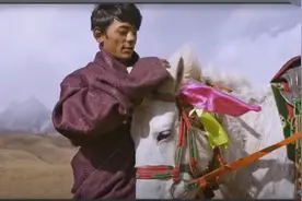 “甜野男孩”丁真爆红背后公务员多会玩？网友：太潮了图片