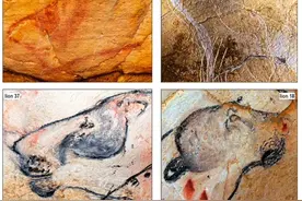 28000年前洞穴狮被发现，胡须保存完好，力大无穷为何会灭绝？图片