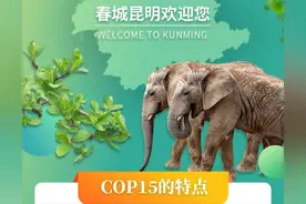 一图带你了解COP15！图片
