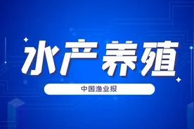 贵州研发青海湖裸鲤引种驯养技术图片
