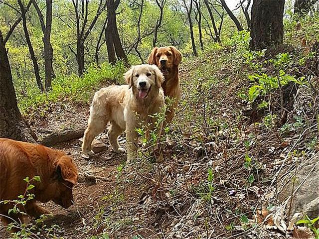 ҥëġůС𣿲ֻǶѺ