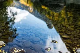 可可托海的养蜂女与牧羊人的爱情故事图片