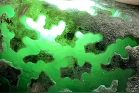 新货288克，南齐冰阳绿色料，多处大面积开窗，色阳种老玉质细腻图片