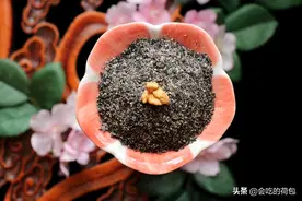 核桃和黑芝麻是绝配，教你简单做法，做一次吃一冬天，随吃随取图片