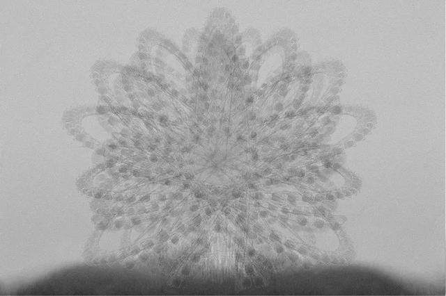 实验类 | 景行——2020“徐肖冰杯”中国大学生摄影双年展入展作品选登(二)