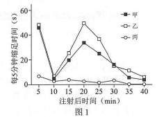 北京市2019年高三一模考试典型题目分析（生物）