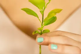 英翻中 睡前小故事 大树图片