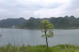 家风家教 | 泪奔家奠，哭母祭文：没听完就想哭了图片