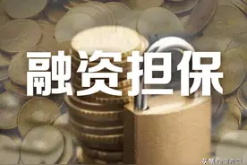 穿越迷雾，民营融资担保如何“向阳而生”？图片