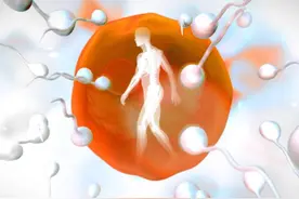 不动精子症与不育图片