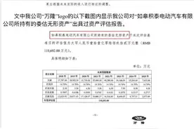 惊了！赛麟评估报告被指造假！如皋66亿国资要打水漂？图片