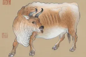 为什么有的地方把“牛”念成óu？图片