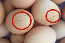 蛋壳上长斑的鸡蛋，到底能不能吃？建议：这4种鸡蛋不要吃图片