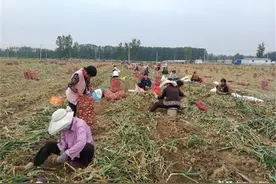 产地持续涨价，已比去年高一倍，农民却存货不卖，要吃不起了？图片
