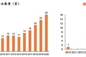 新思科技和中国合作伙伴如何布局EDA黄金时代？图片