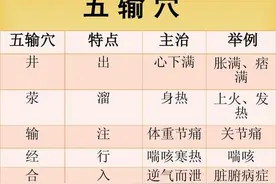 针灸必背歌赋之十二经井荥输原经合歌图片